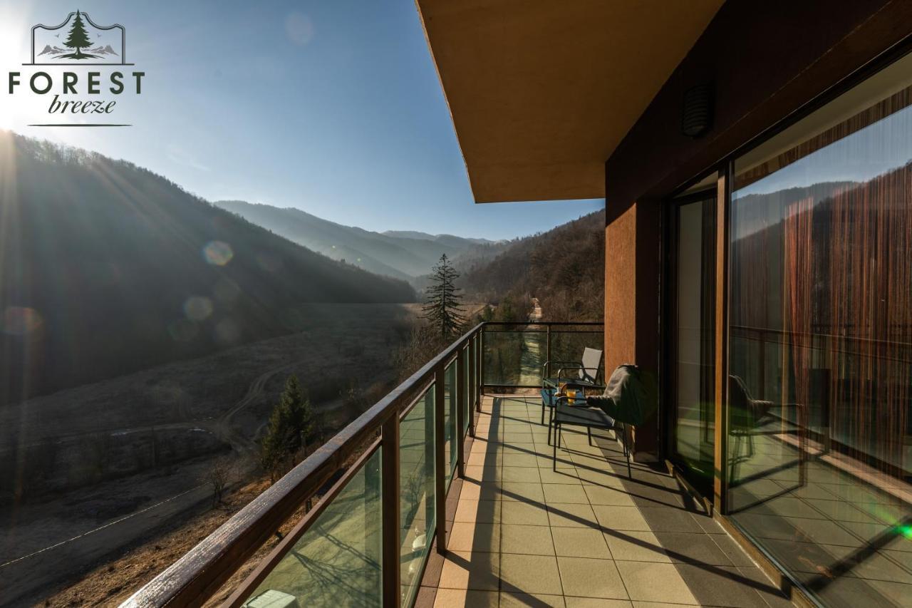 Forest Breeze Apartterrace Brașov