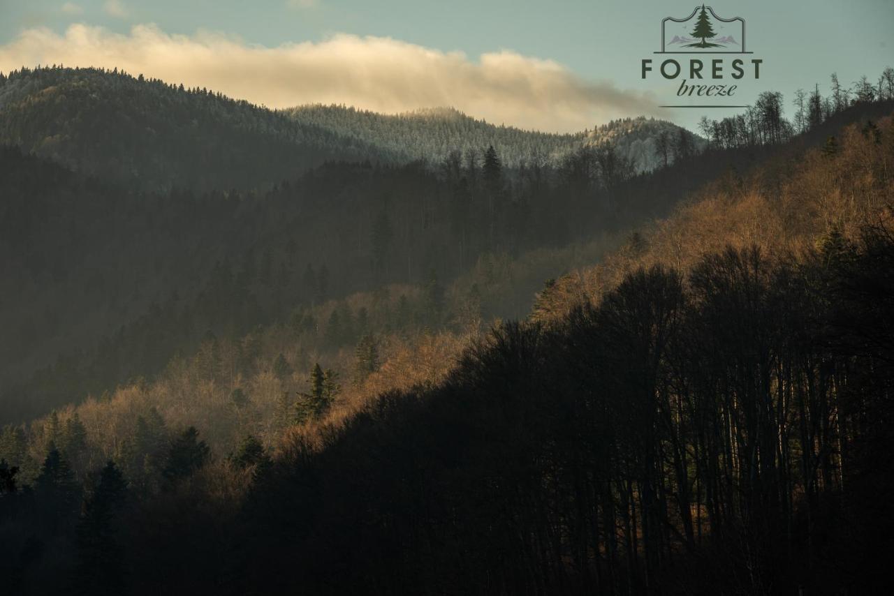 Forest Breeze Apartterrace Apartament *